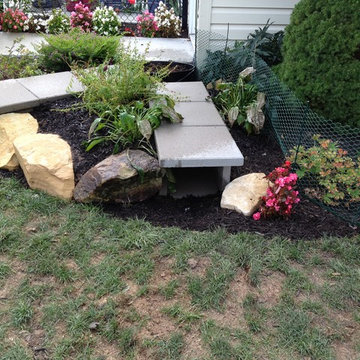Dog Friendly Landscape