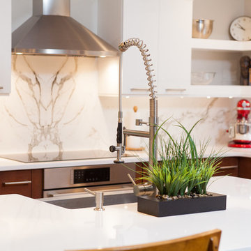 Contemporary Renovation
