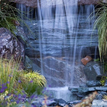Napier Garden