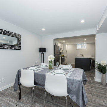 Glenview Heights Basement Apartment Conversion and Whole House Renovation