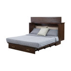 Creden-ZzZ Cabinet Bed in Pekoe Finish, Queen