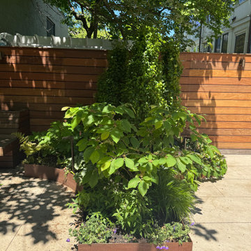 Brooklyn Heights Shady Garden