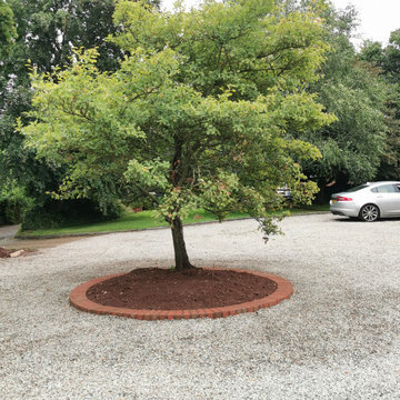 Tree set in brick edged island bed in driveway / turning circle