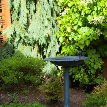 Sandy & Allen's Landscape, Fountain & Containers