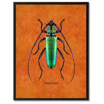 Capricorn Animal Orange Canvas Print, Custom Picture Frame, 13"x17"