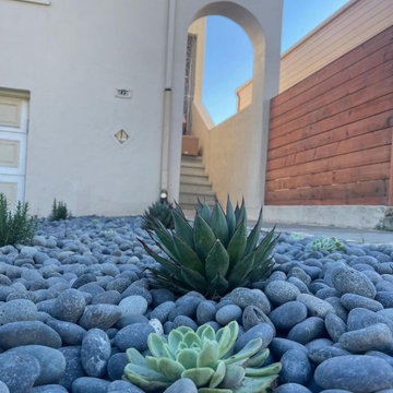 Form and Function Landscapes