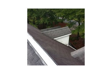 Roof Replacement Palmetto, GA