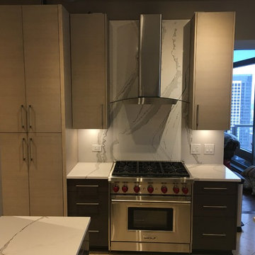 333 N Canal St, Chicago IL. Modern Kitchen