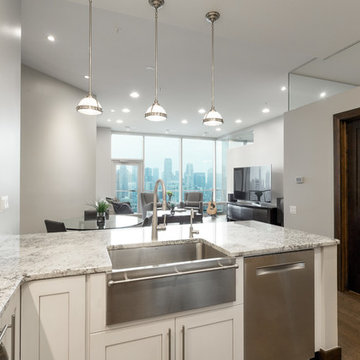 Gold Coast Chicago Kitchen Design & Remodel