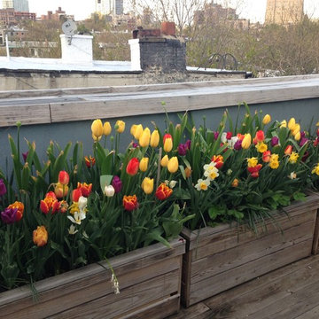 Boerum Hill - Rooftop Garden
