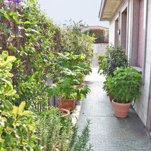 Terrazzo