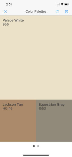 Jackson Tan HC-46