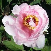 Scott Hildenbrand's photo