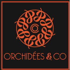 www.orchidees-co.com