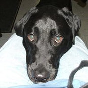 Heike Kelley's photo