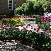 Julie Burch's photo