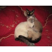 Sharon McConnell Mercer's photo