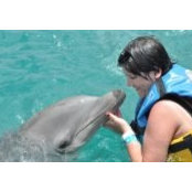 Erica Mancuso's photo