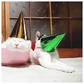 Pamela Key's photo