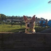 Sandi Hebert's photo