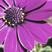 Kitty Barran's photo