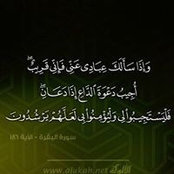 Mona Zouari's photo
