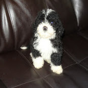 Diane Workman's photo