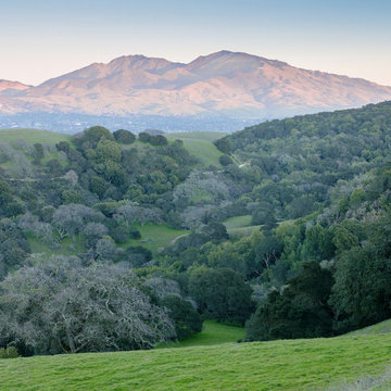 20 Quick Facts About Martinez, CA