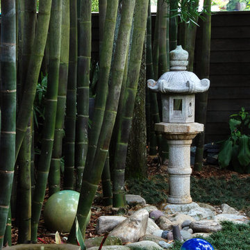 Yoga Meditation Garden
