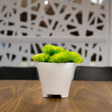 Modern Office Design for Tech Start Up - Austin, TX