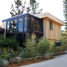 Knotty Pine