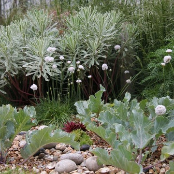 Coastal Drift - Hampton Court 2011
