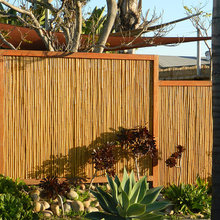 Bamboo Fencing Tropical San Diego By Backyard X Scapes Inc