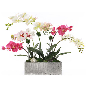 Real Touch Phalaenopsis Orchids in Luxe Silver Ceramic Pot