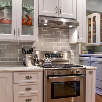 Transitional White Kitchen