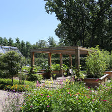 DF: Garden