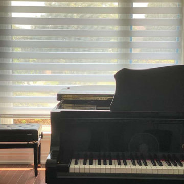 Toronto Zebra Blinds