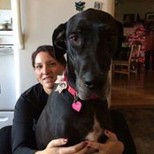 Darcy Dubuque's photo