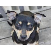 Amy's photo