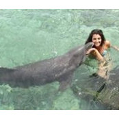 Michelle Sabat's photo