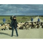 Cathy Struwe's photo
