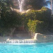 Lynn Klapat's photo