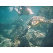 Sarah Oh's photo