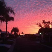 Cathy Bourguignon's photo