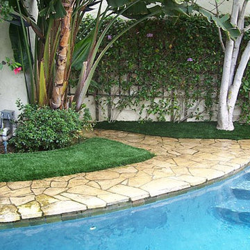 Turf & Pools