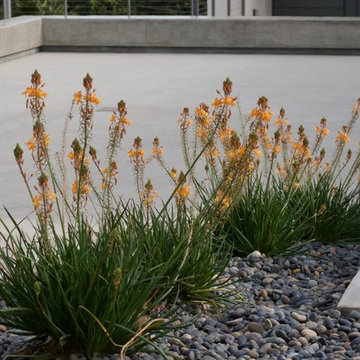 Outside Instyle designed polished concrete bench acts as wheel stop.