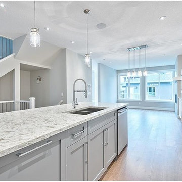 433 31 AV NW, Mount Pleasant, Calgary, Alberta   T2M2P5