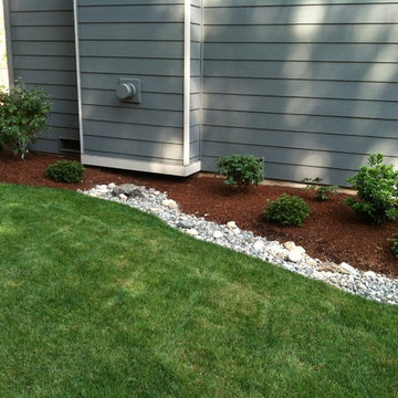 Edmonds Backyard