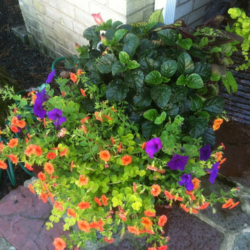 Container Gardens