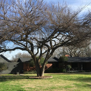 Aledo Restoration